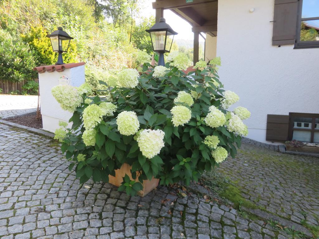 Hittenpichl Bodenmais Luaran gambar