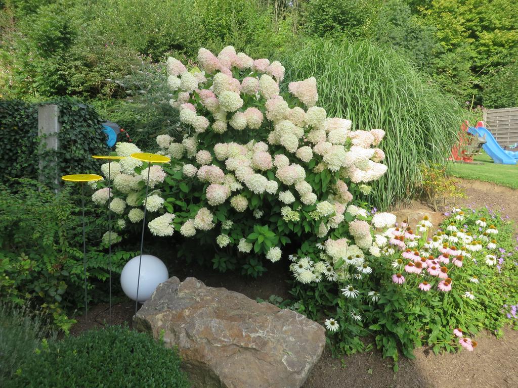 Hittenpichl Bodenmais Luaran gambar
